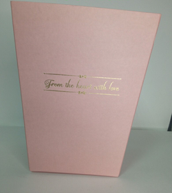 Трапеция-переноска 22,5*18*18см