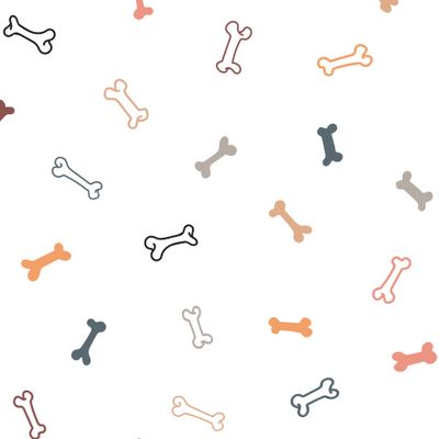 Кости на белом фоне