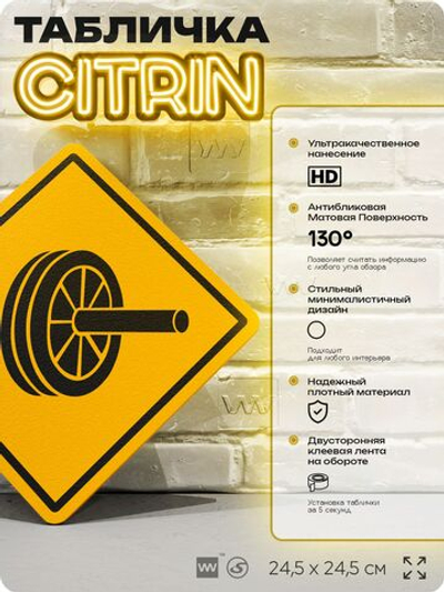 Табличка декоративная "Колесо для фитнеса" на дверь и стену, спортивная, информационная, декоративный знак, 24,5х24,5 см, пластиковая, Айдентика Технолоджи