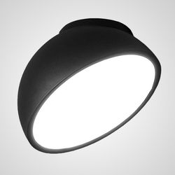Потолочный светильник SELDEN D20 Black