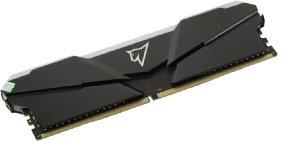 Оперативная память Netac NTSRD4P32DP-16E 16 Гб