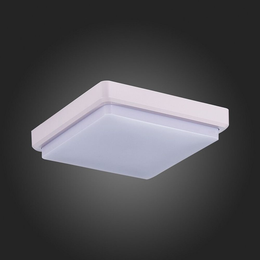 Накладной светильник EVOLUCE Taddio SLE200212-01