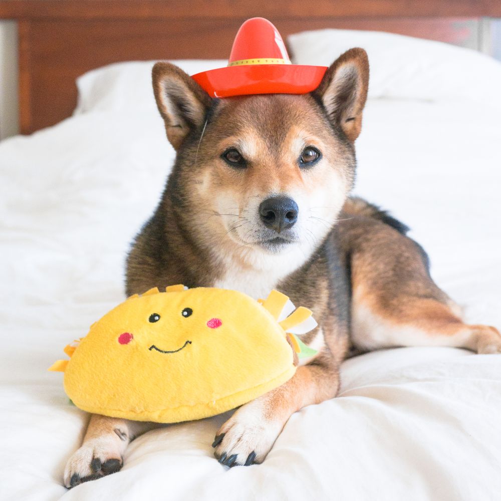 Игрушка NomNomz Тако ZippyPaws