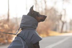 Попона для собак Весна - Осень арт. 178