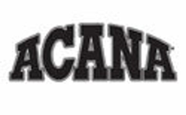 Мышиные истории