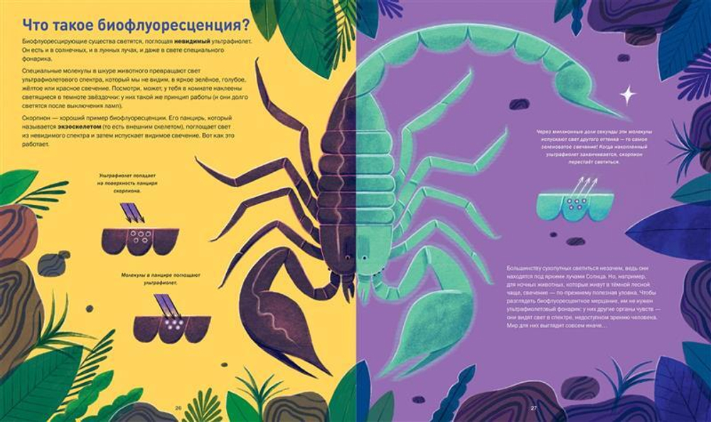 Кто светится в темноте? Невероятные факты о способностях животных