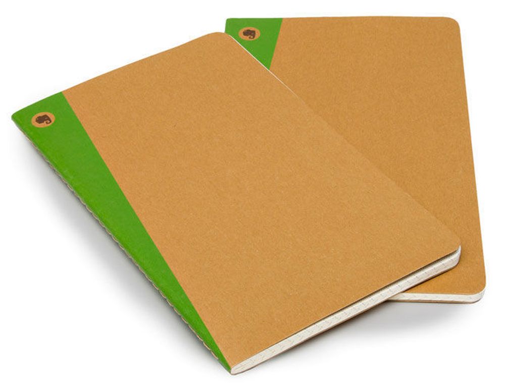 Блокнот Moleskine Evernote Large 130х210мм 80стр картон линейка бежевый 2шт (SKQP416EVER)