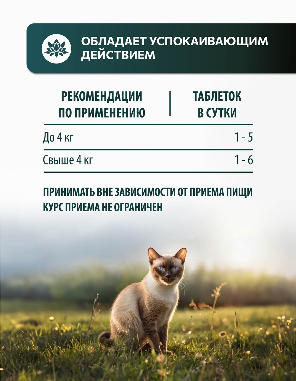 Vita+ мультивитаминное лакомство для кошек Антистресс кошачья мята, 90 таблеток