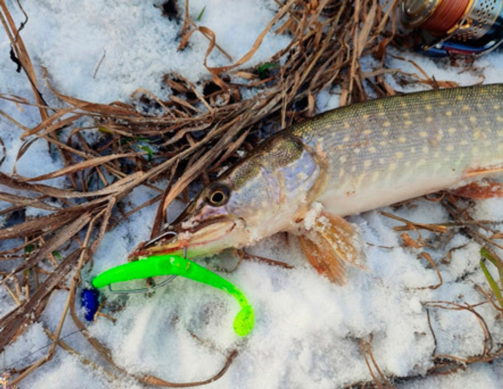 Fish KayuKer 50 мм - приманка Brown Perch (14 шт)