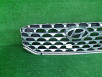 Решетка радиатора Hyundai Santa Fe 4 TM (20-24)