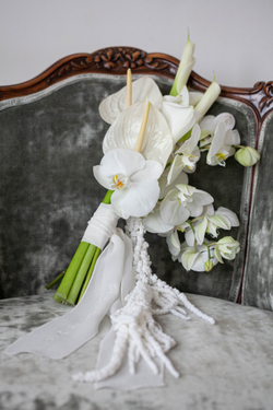 White Delight