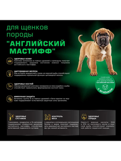 Корм сухой для щенков породы Английский мастиф, премиум полнорационный комплекс, с ягненком, 12 кг, QUATTRO