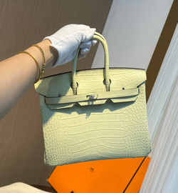 Hermes Birkin 25