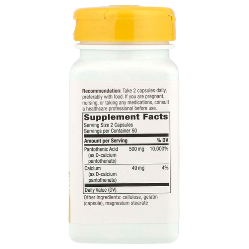 Nature's Way, пантотеновая кислота, витамин B5, 500 мг, 100 капсул (250 мг в 1 капсуле)