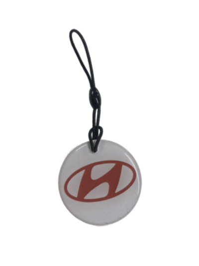 Заготовка домофонная EPOXY чип Н5.5 HYUNDAI (на резинке)