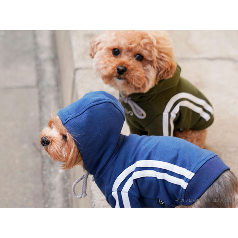 667 PA-TS Толстовка "SPORT PUPPY ANGEL"