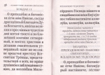 Акафист преподобному отцу нашему Паисию Святогорцу вселенскому Чудотворцу (карманный формат)