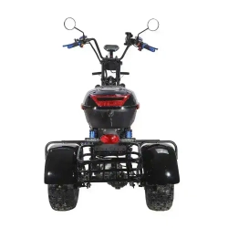 Электроскутер SKYBOARD CITYCOCO TRIKE BR40-3000 PRO FAST OFF-ROAD
