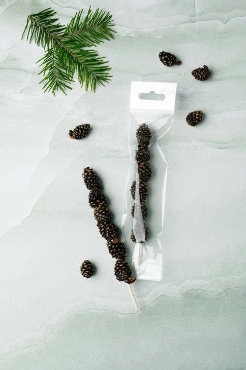 Цукаты "Сосновый шашлычок" на палочке / шоу-бокс / 210 гр / 10 шт / Солнечная Сибирь