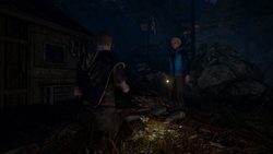 Through the Woods (для ПК, цифровой код доступа)
