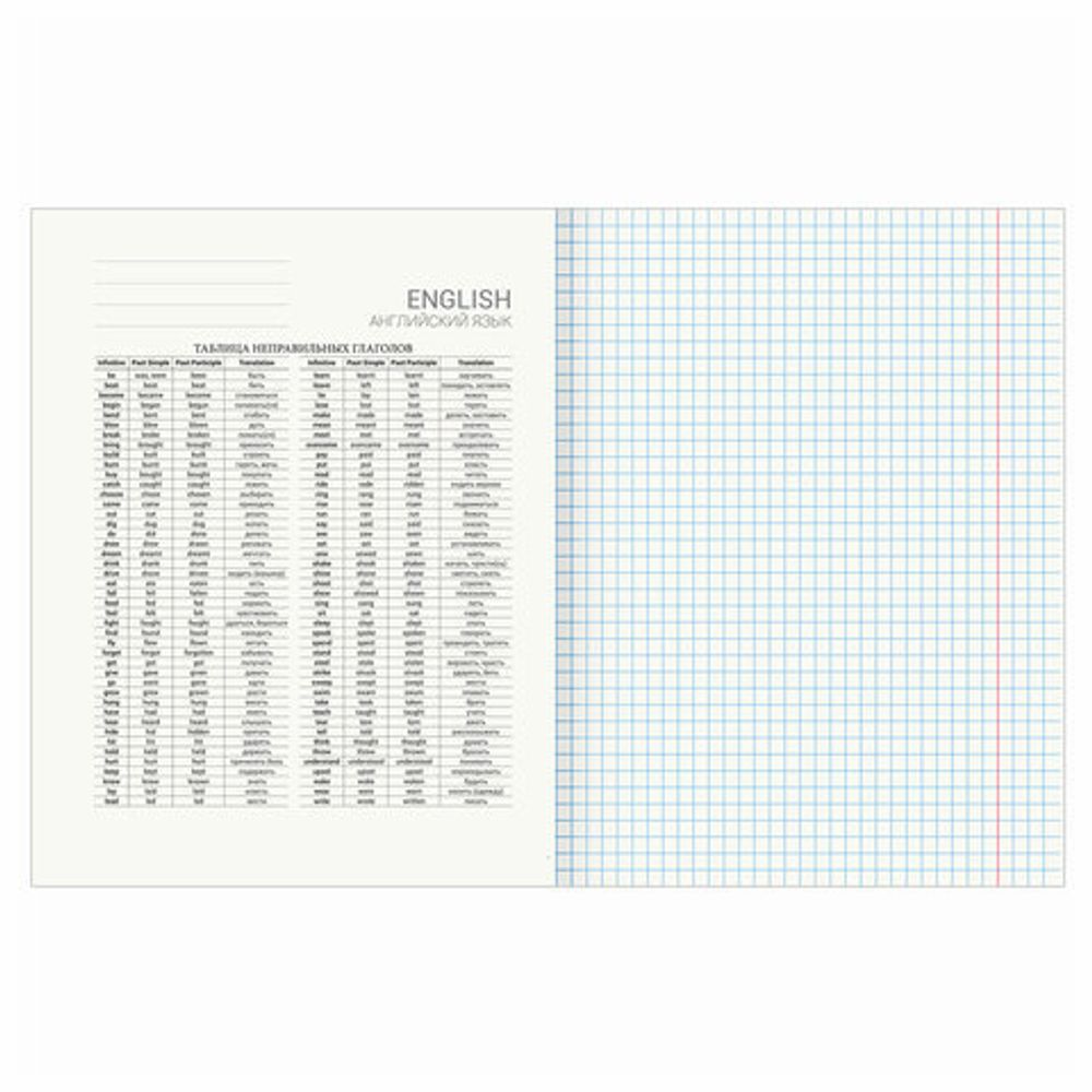 Тетрадь предметная "DELIGHT" 48 л., обложка картон, АНГЛИЙСКИЙ ЯЗЫК, клетка, BRAUBERG, 404570