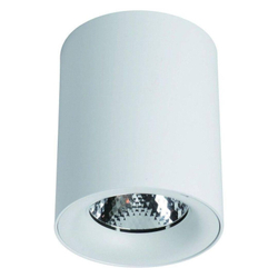 Накладной светильник Arte Lamp A5112PL-1WH
