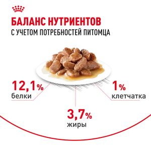 Пауч Royal Canin Hair&Skin Care для взрослых кошек для поддержания здоровья кожи и красоты шерсти, тонкие ломтики в соусе