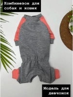 Трикотажный комбинезон для собак и кошек