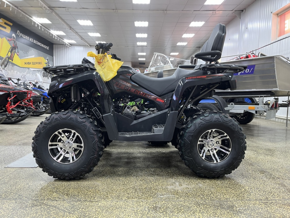 Квадроцикл PROMAX RENEGADE 300 LONG WINCH PRO (2025)