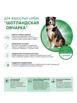 Корм собак породы Шотландская овчарка, ягненок, 12кг