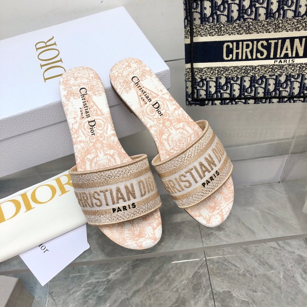 Christian Dior Dway Slide