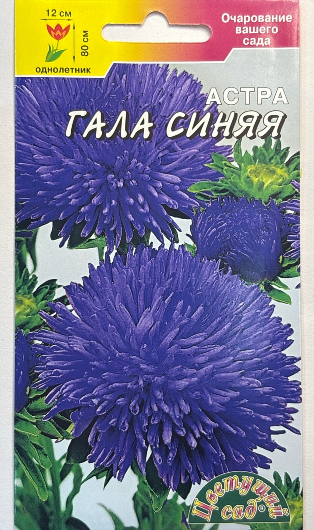 Астра Гала синяя 0,1 г махровая СМЦ-440