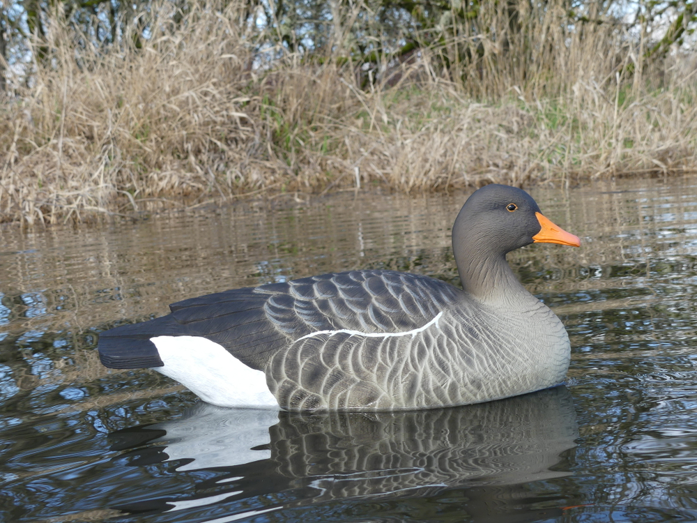 Серый плавающий гусь "FA LAST PASS GREYLAG FLOATER" (6 штук) FA-199263