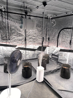 Гроубокс PROBOX Basic 240 под ключ