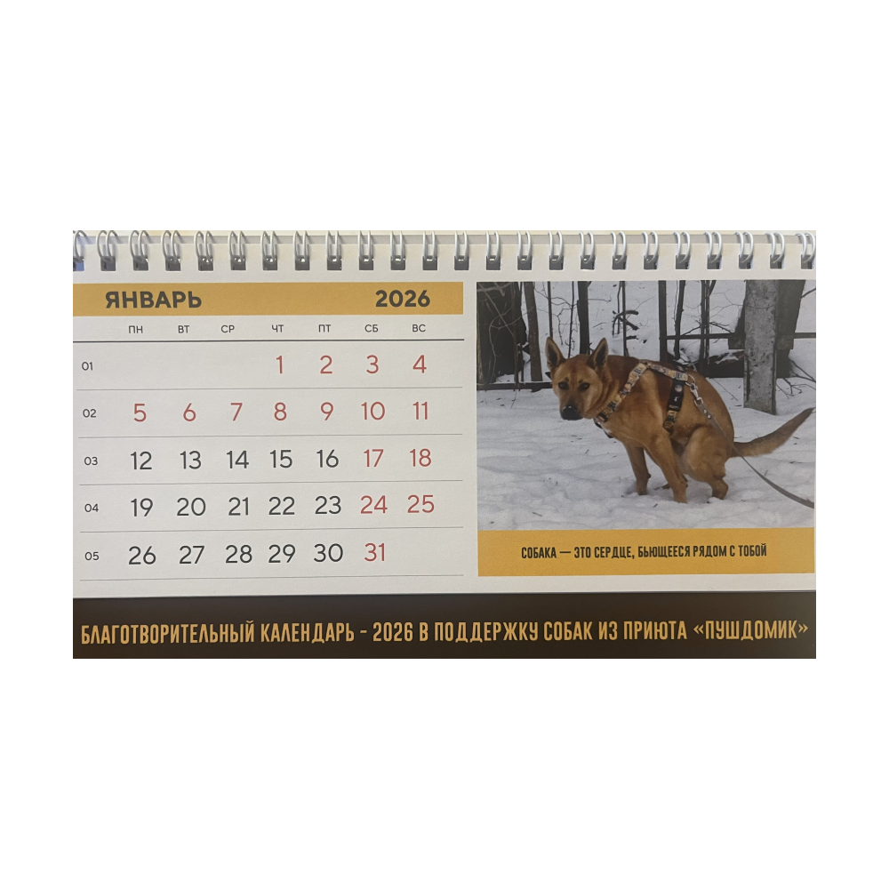 Настольный календарь 2026 (донат от 450 ₽)