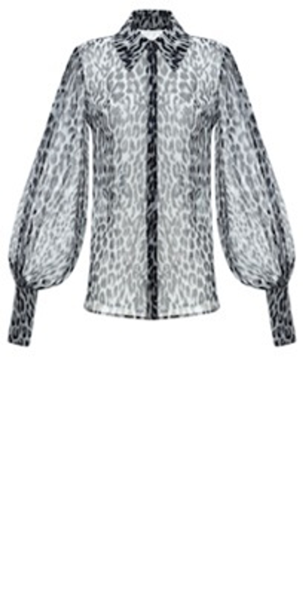 Блуза с Объемными Рукавами из Шифона с Принтом