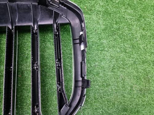 Решетка радиатора BMW X7 G07 (2019-2022)