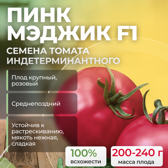 ПИНК МЭДЖИК F1 семена томата (Sakata | Alexagro) купить