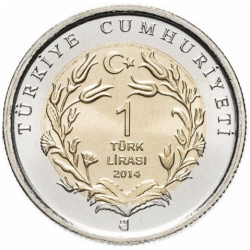 Анатолийский орёл