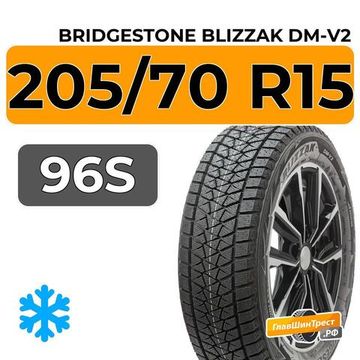 Bridgestone Blizzak DM-V2 205/70 R15 96S