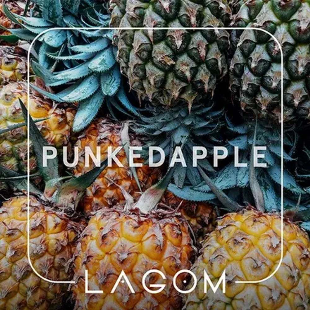 LAGOM Main - Punkedapple (40g)