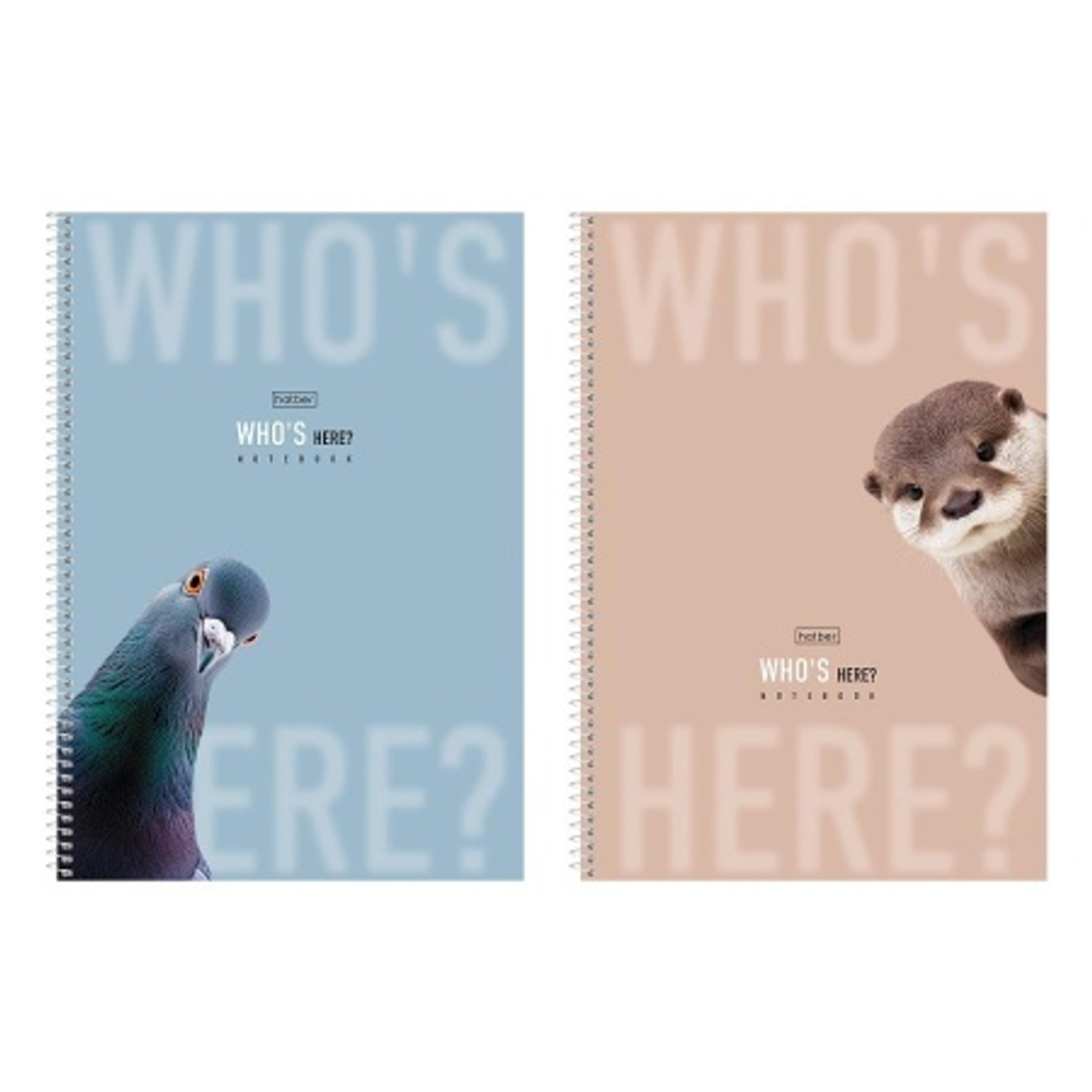 74333ce87da2047f93d53d8c3e4bcdaa