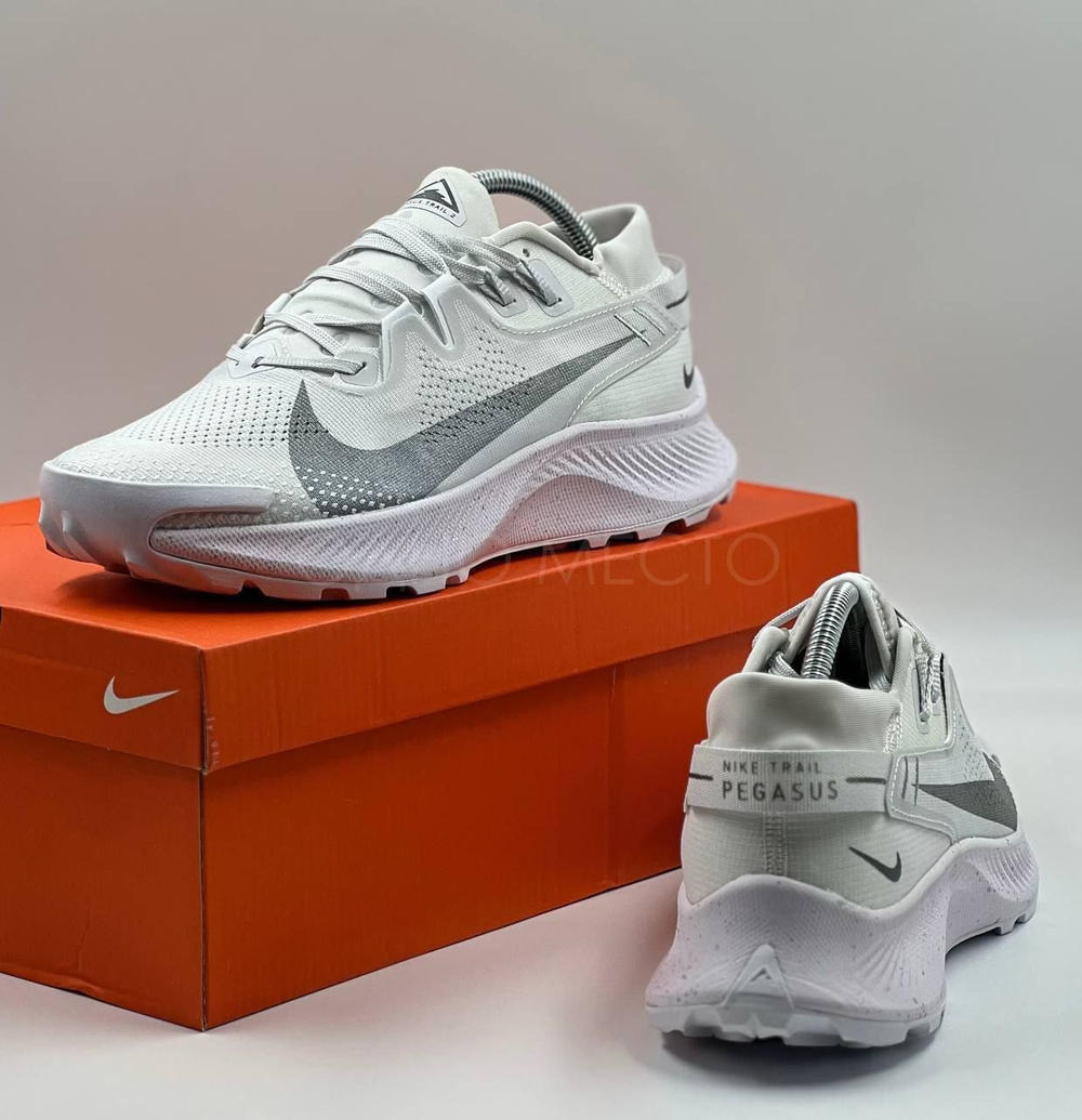 Nike Pegasus Trail 2