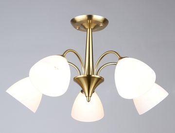 6987/5 COP (1) Люстра RL