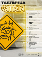 Табличка декоративная "Gorillaz, 2-D" на дверь и стену, прикольная штука в подарок, декоративный знак, 24,5х24,5 см, пластиковая, Айдентика Технолоджи