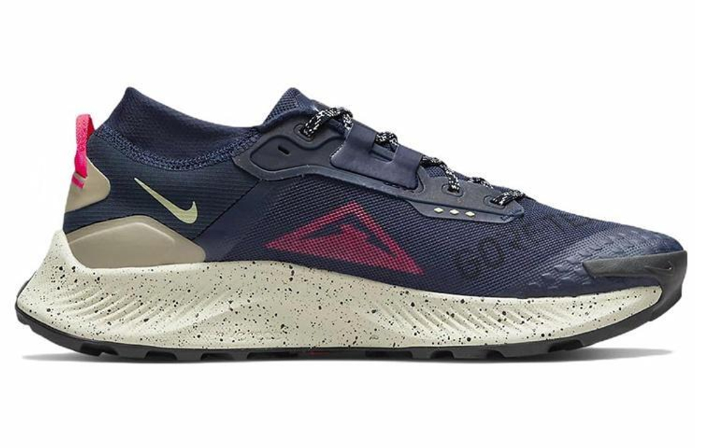 Кроссовки Nike Pegasus Trail 3 Gtx