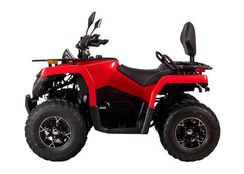 Квадроцикл BIZON YK200 Basic Carb