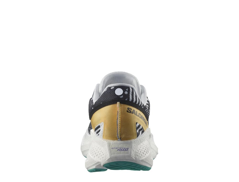 Кроссовки для бега мужские Salomon Aero Glide 3 Proto Pack M Мультиколор