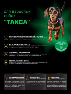 Корм сухой для взрослых собак породы Такса (стандартная), с ягненком, 12 кг, QUATTRO