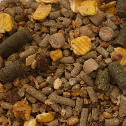 Лакто плюс Иммуно